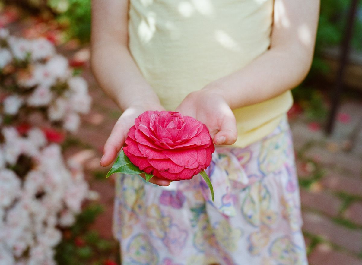 My daughter holding a camelia flower